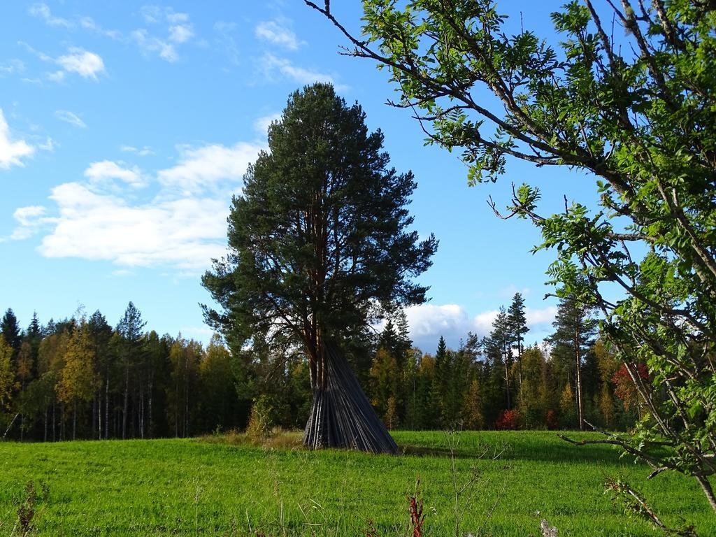 Viking Trails Outdoor & Accommodations Rättvik Exteriér fotografie